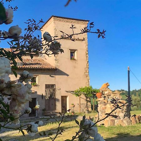 Soulful Holiday Home In Modena Wth Garden Esterno foto